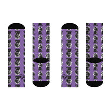 Load image into Gallery viewer, Little Jiujitsu Monster Socks