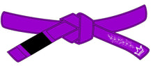 Load image into Gallery viewer, Chickjitsu Jiujitsu Belts