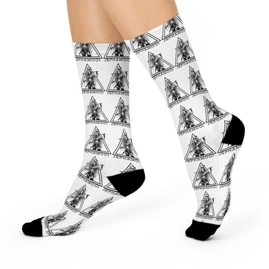 Copy of Wings Socks